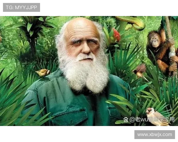 斯通斯乐队的传奇之路与音乐影响力的深远探讨 斯通斯乐队的传奇之路与音乐影响力的深远探讨