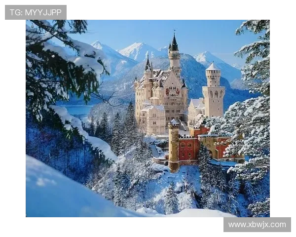 新城堡与阿德莱的对决解析：战术较量与球员表现的全面分析