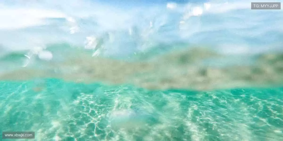 💻高清直播，身临其境！📡